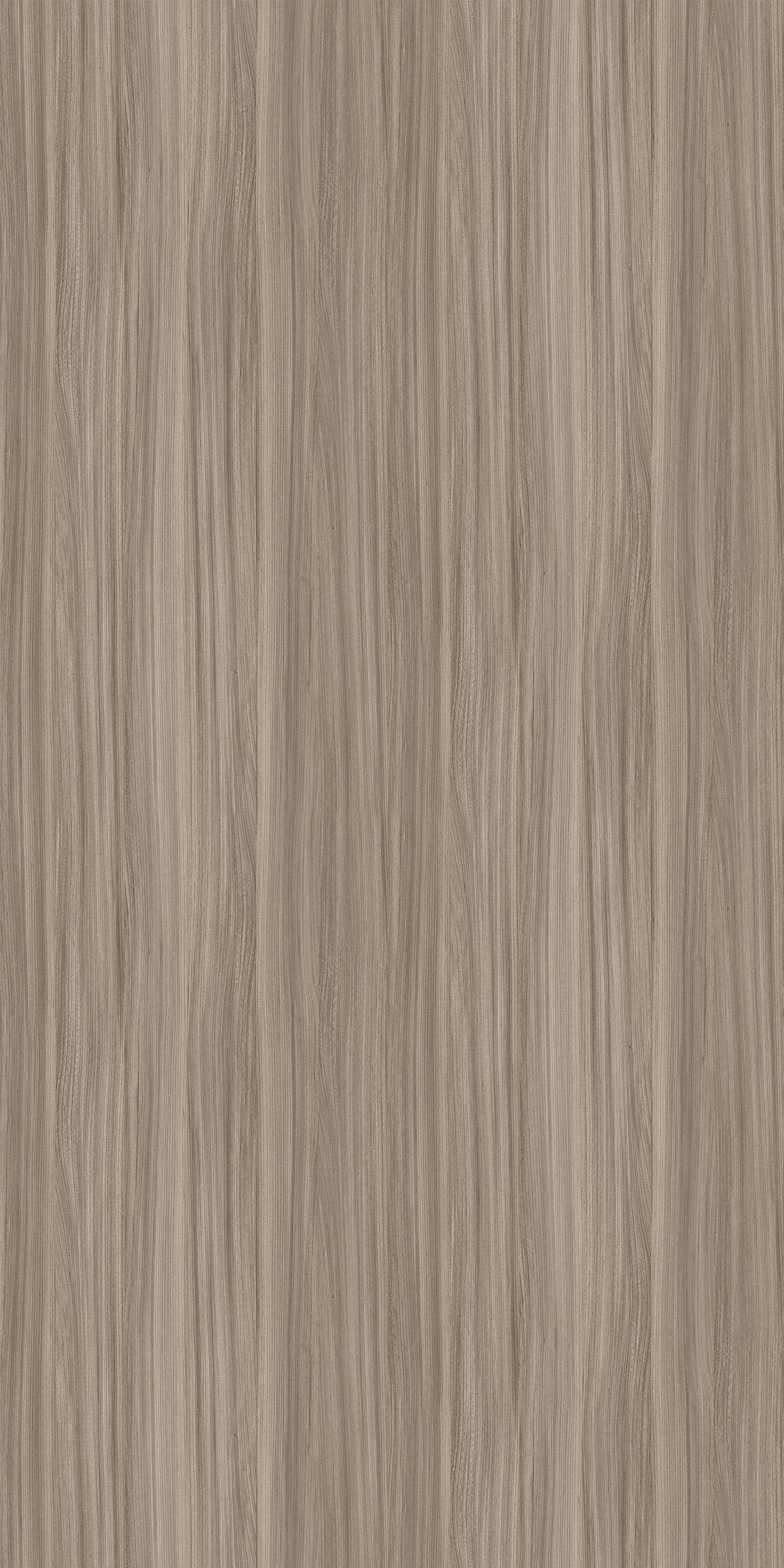 New Classic Elm