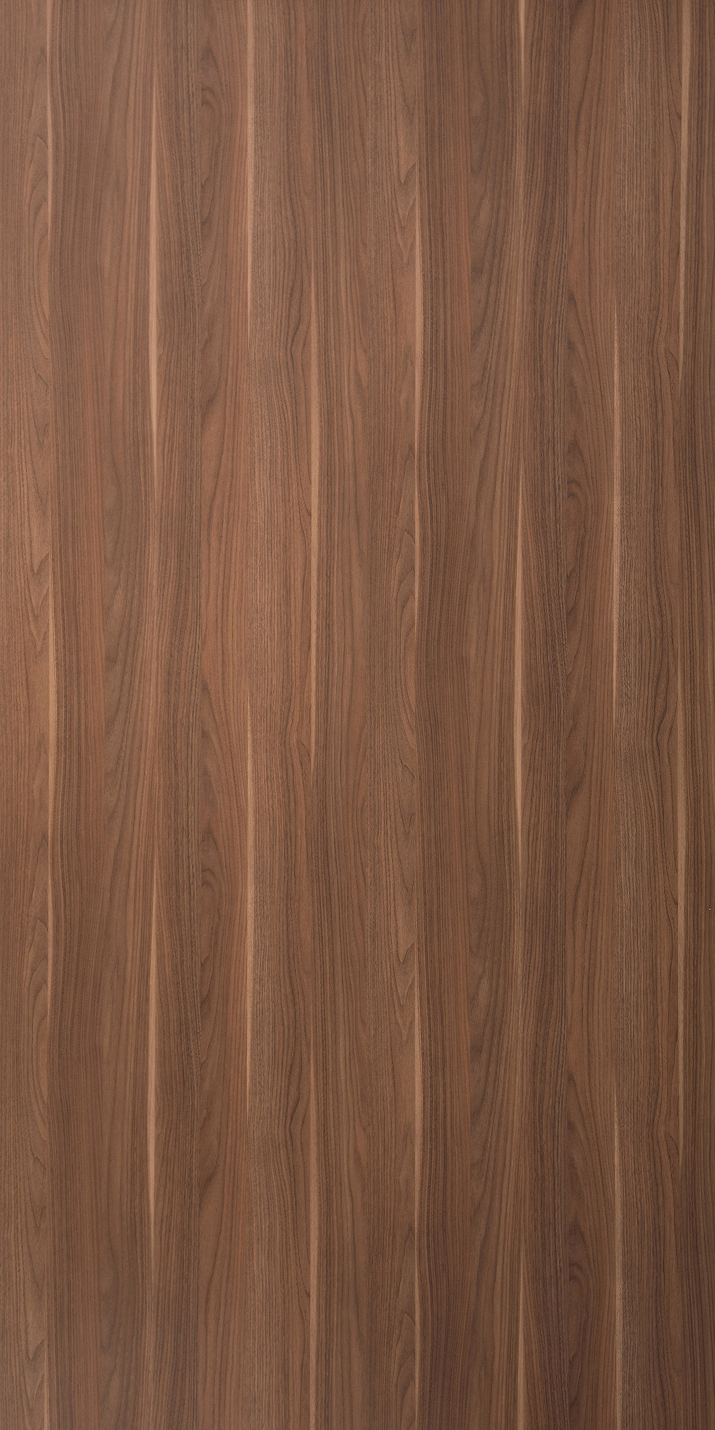 Virginia Walnut