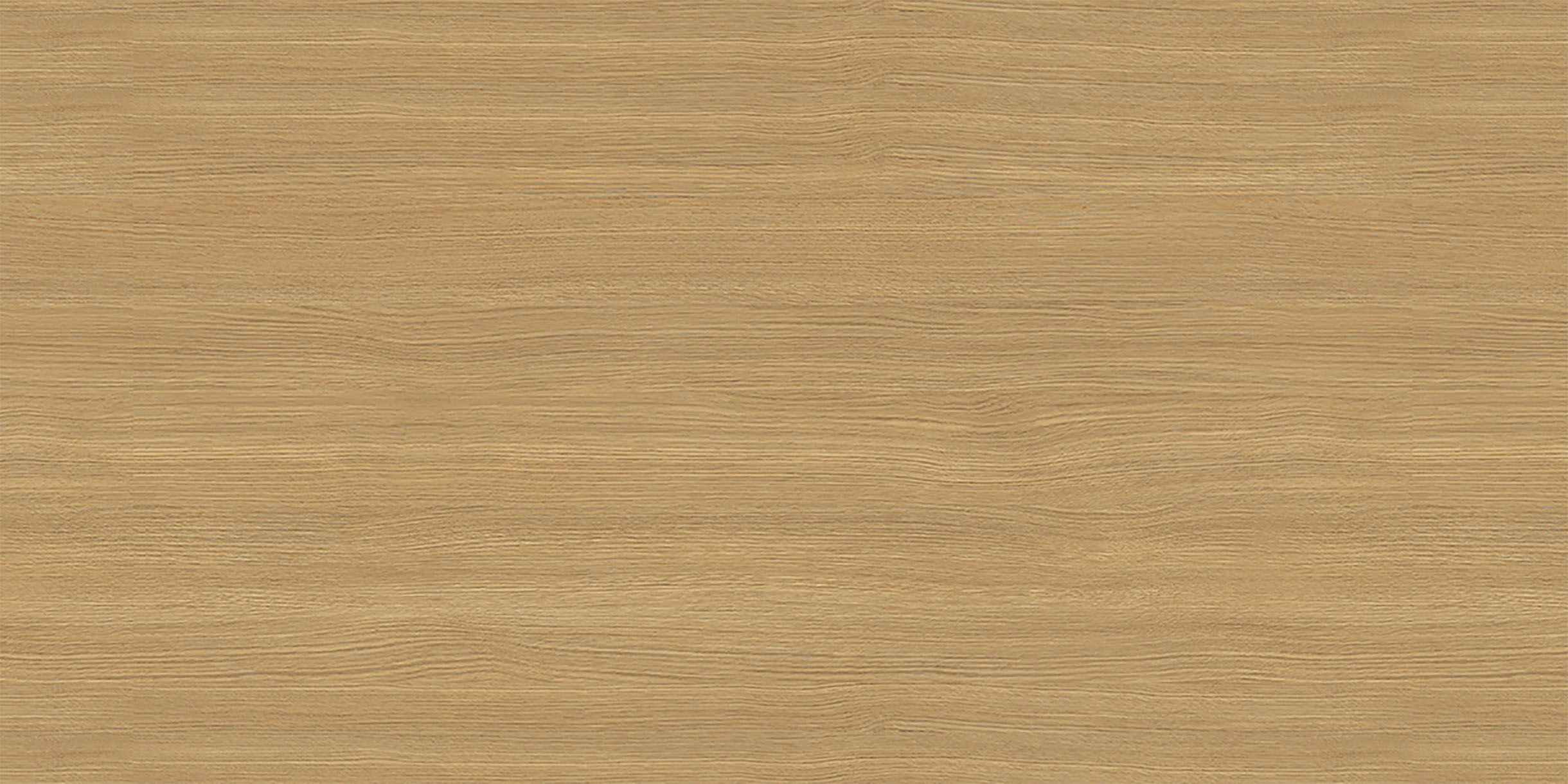 Desert Oak