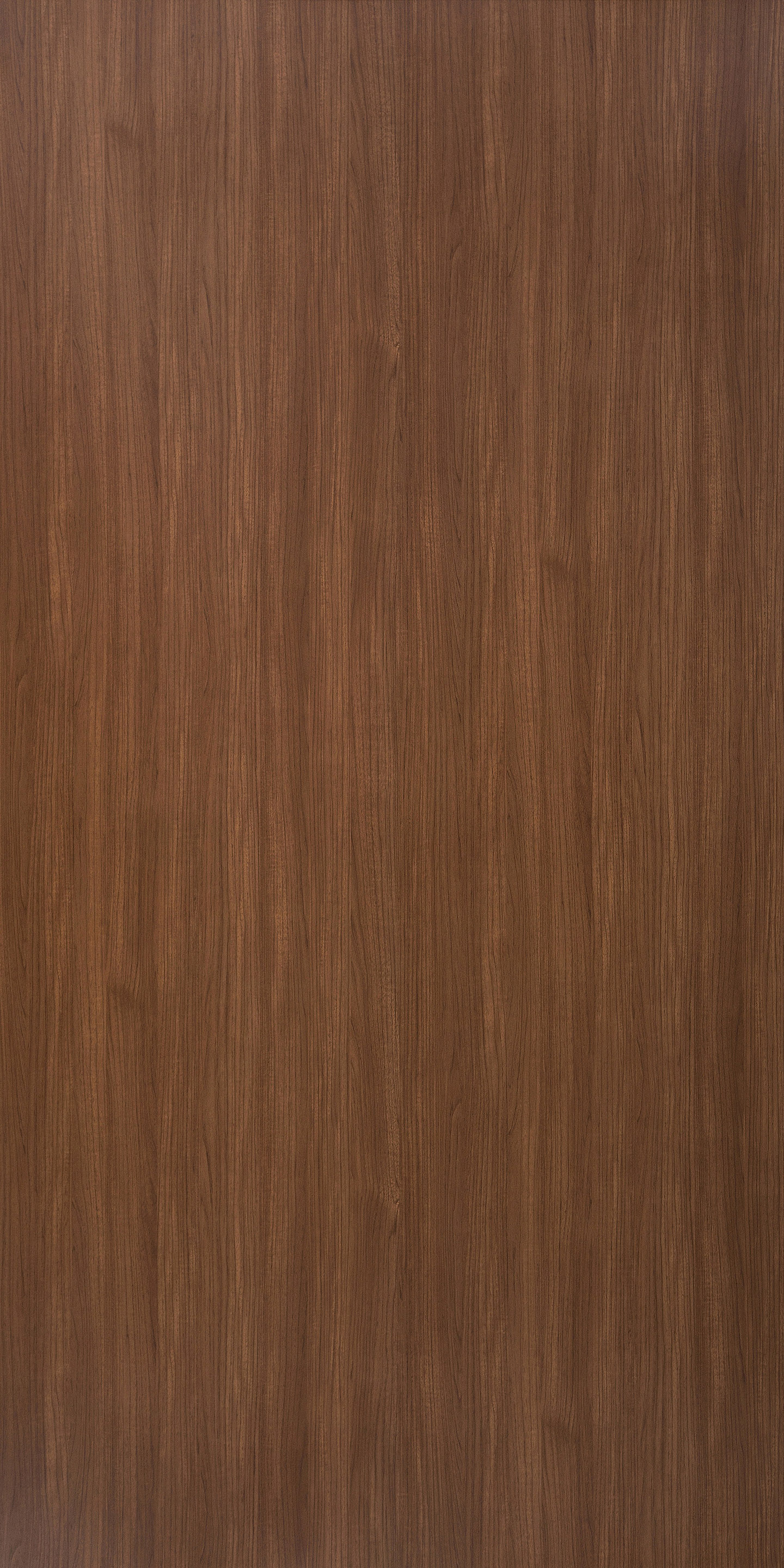 Noble Teak