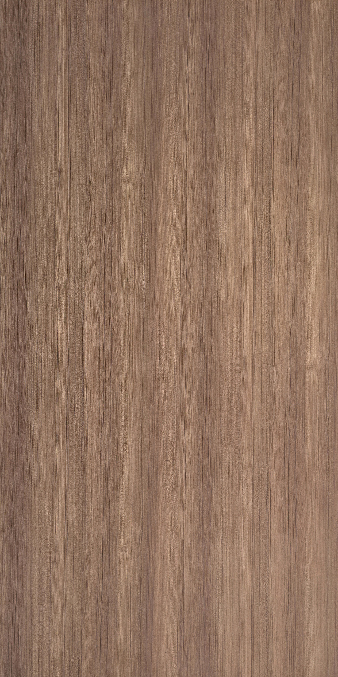 Teak